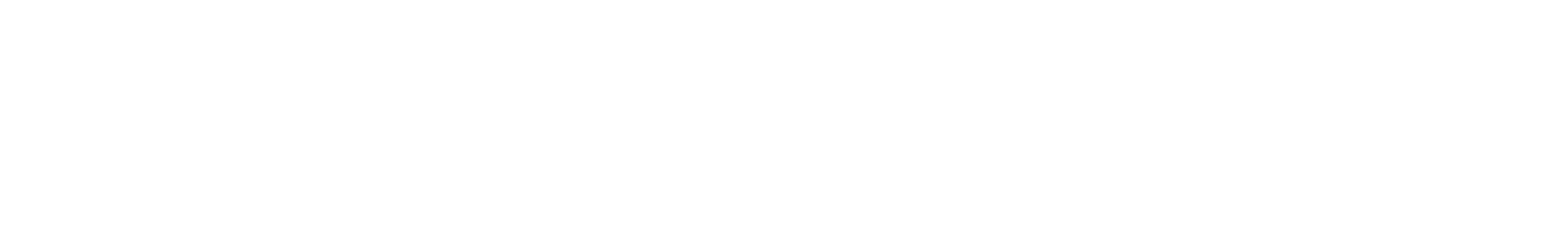 Python Tech Agency